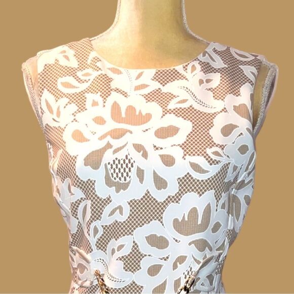 Enfocus brand beige dress with cream lace design overlay! New - Picture 6 of 12